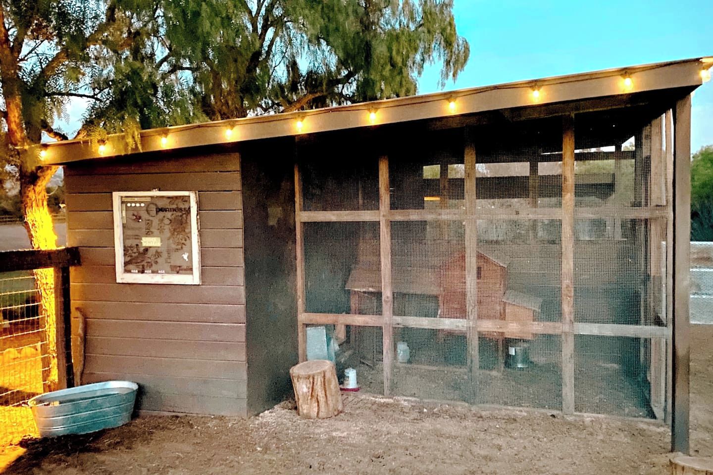 A small wooden structure with a window, a metal container, and a tree in the background.