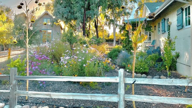 A residential garden with a wooden fence, a variety of flowering plants, and a house with a sloped roof and blue shutters. - Anavo Farm House ~ a storybook stay with Animals (Solvang)