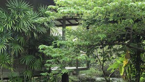 A traditional building with a tiled roof and a wooden structure in the center. - Mass Eco Cabana Yoga & Spa - Unawatuna (Unawatuna)