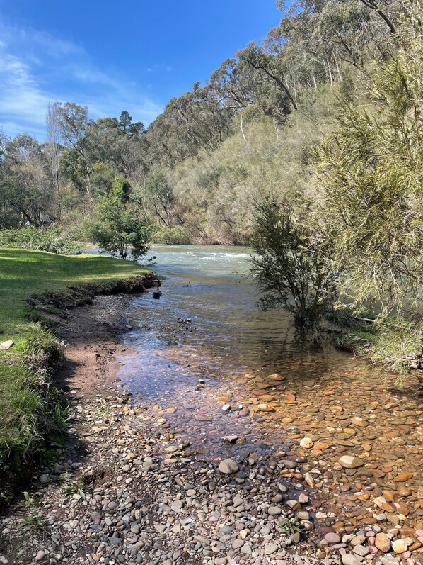 A river flowing through a forested area with clear water and pebbly banks.
