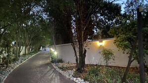Un sendero pavimentado bordeado de árboles y una pared blanca con luces iluminadas.
