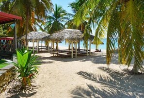 A beach with thatched-roof structures, palm trees, and a clear view of the sea.