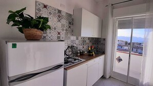 Et køkken med køleskab, komfur og skabe. Der er en potteplante på køleskabet, og et vindue med udsigt til bygninger.
