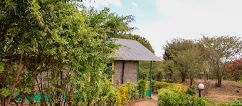 Mara Forest camp