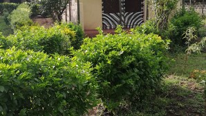 Ein kleines Haus mit einem Strohdach, umgeben von üppiger Vegetation und verschiedenen Pflanzen.
