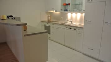 City Apartment | Private kitchen | Fridge, microwave, oven, stovetop