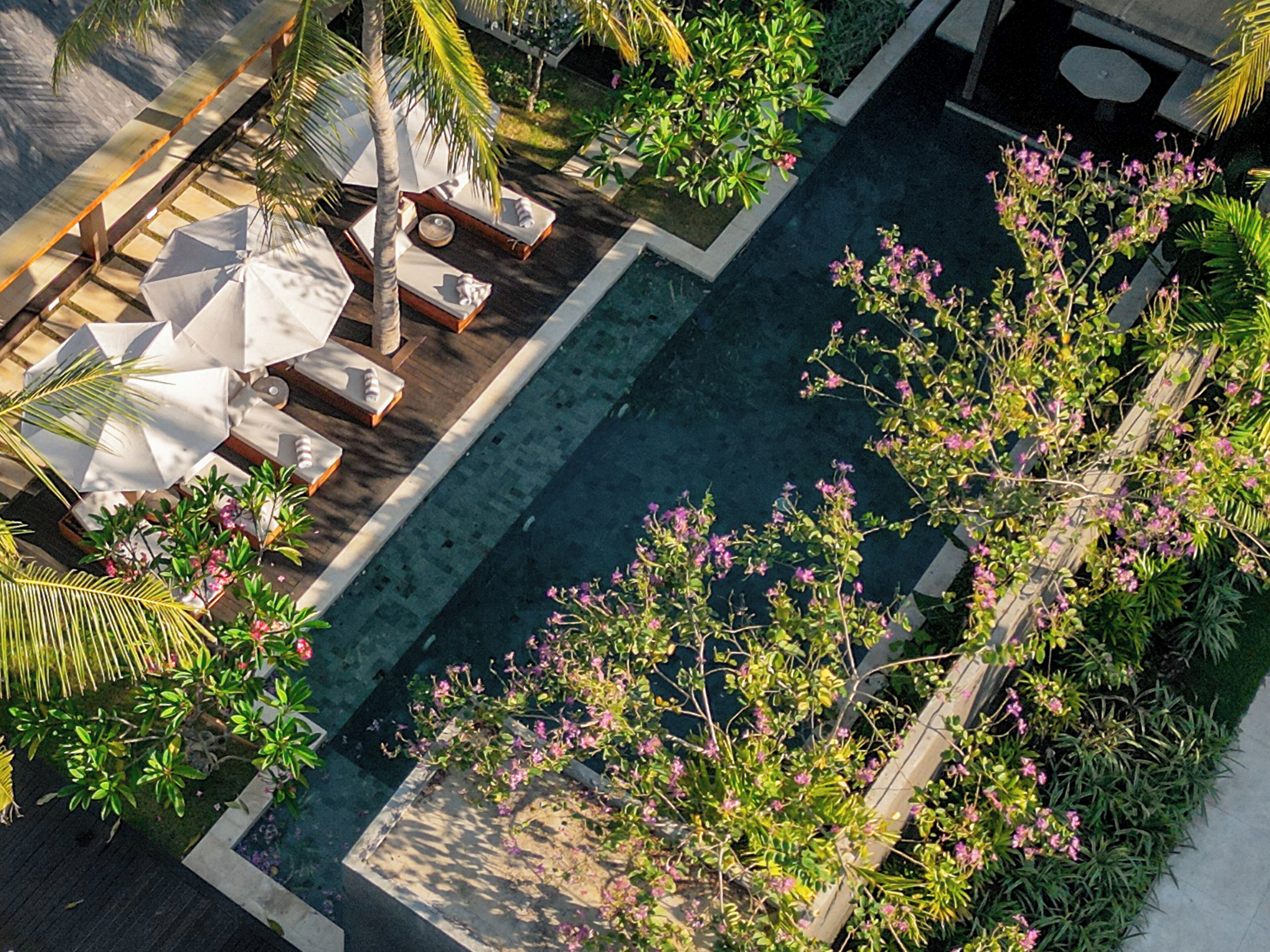 Piscina externa, funciona das 7h às 19h, guarda-sóis, espreguiçadeiras