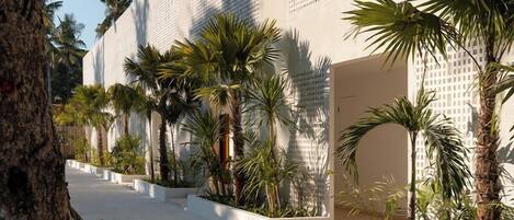A pathway flanked by palm trees and a building with a modern facade.