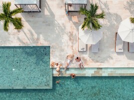 Vista aérea de una zona de piscina con sillones de descanso, sombrillas y palmeras.