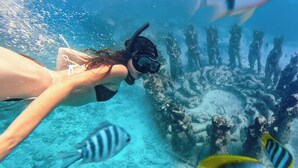 An underwater scene with a diver's hand and a fish. - Cocana Resort Gili Trawangan (Gili Trawangan)