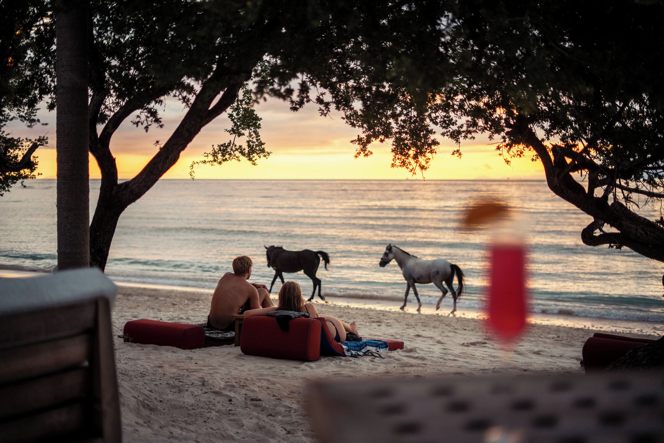 A beach scene with a sunset, two people sitting on a blanket, and two horses walking on the sand.