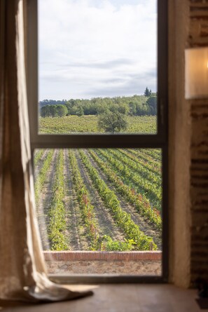 Interior - Splendide mas au Milieu des Vignes, au Pied des Montagnes (Banyuls-dels-Aspres)