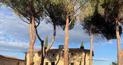 Splendide mas au Milieu des Vignes, au Pied des Montagnes