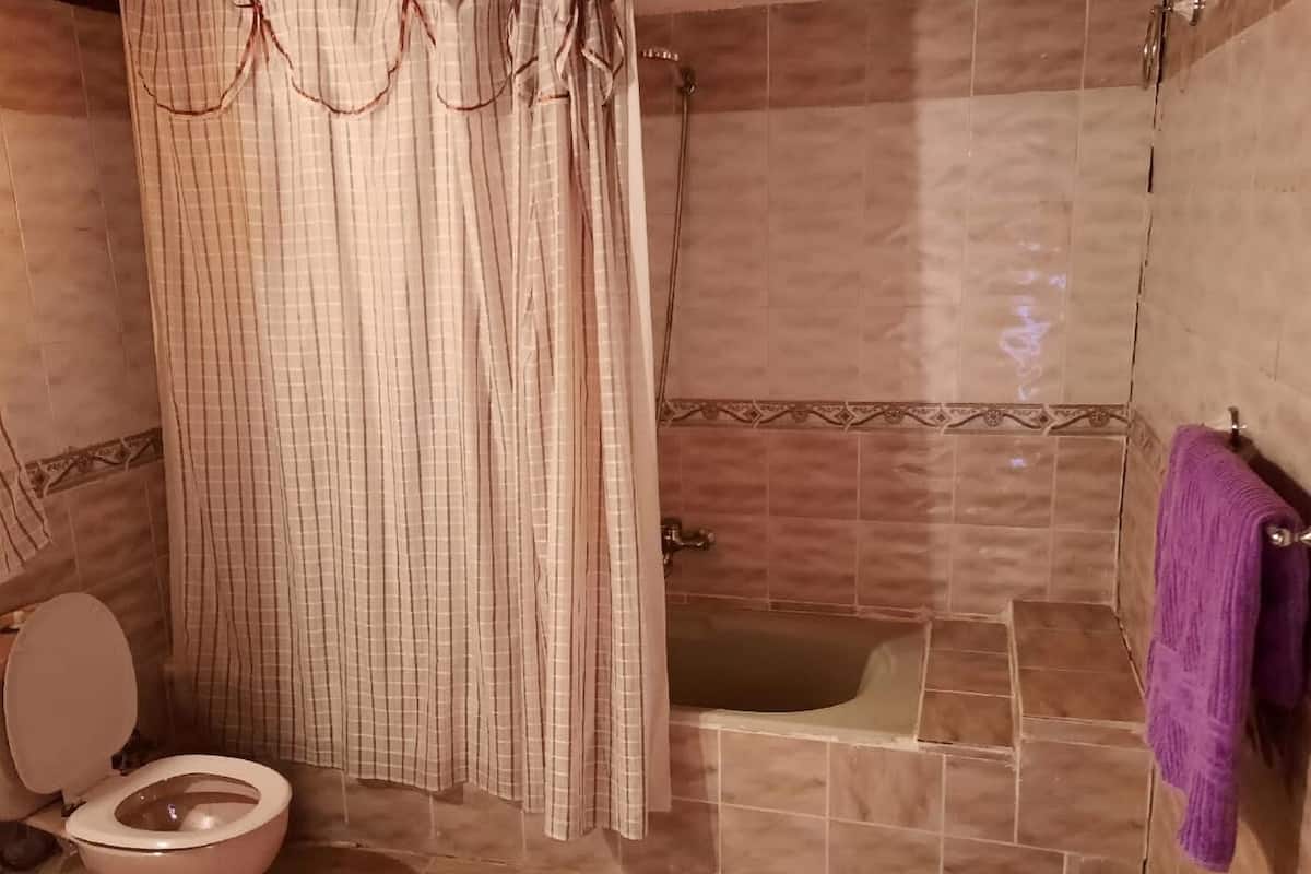 A bathroom with a toilet, a bathtub, and a shower curtain.