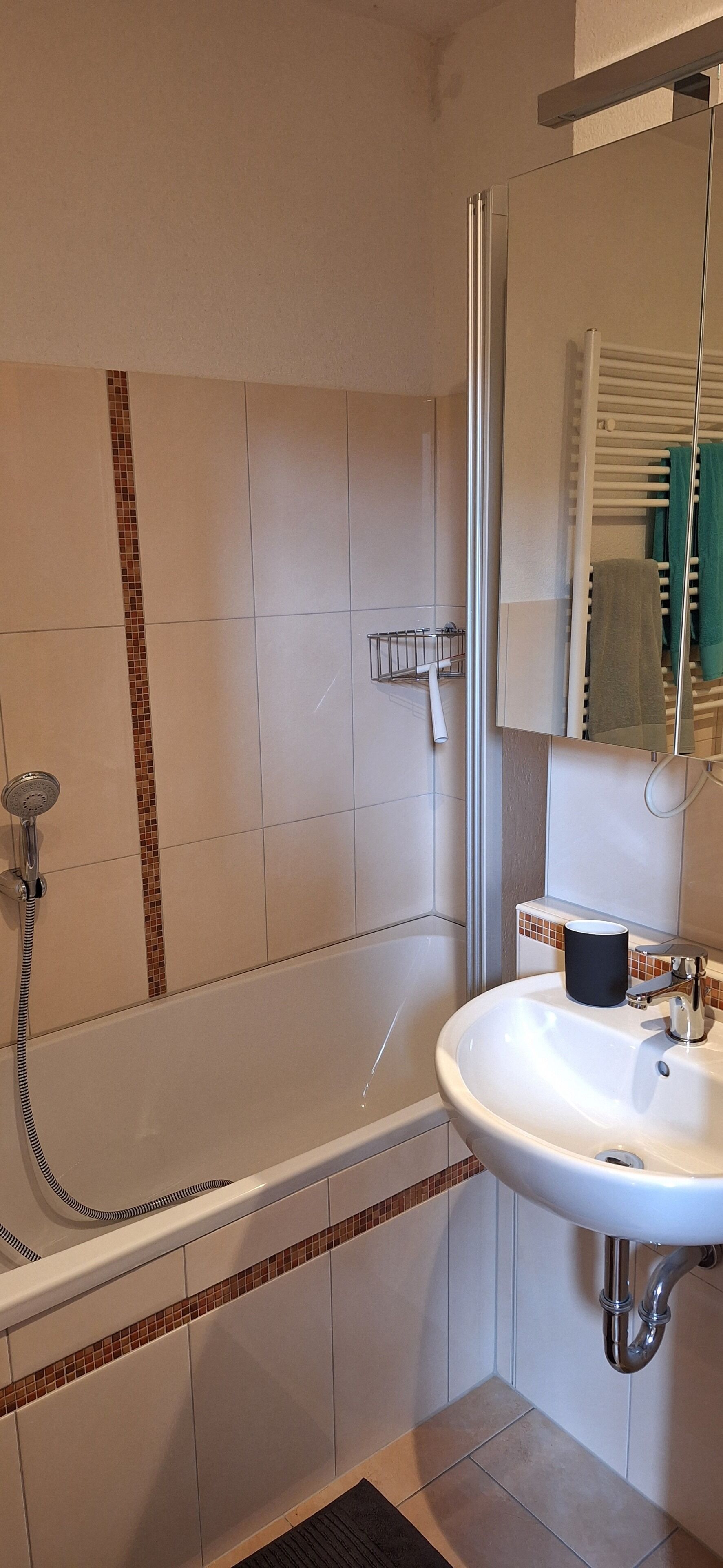 Secador de pelo, toallas, jabón, shampoo