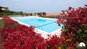 A swimming pool surrounded by red foliage, with a clear sky and distant buildings.