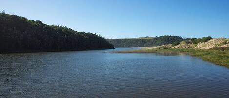 A calm river with a forested hillside on one side and a sandy area on the other.