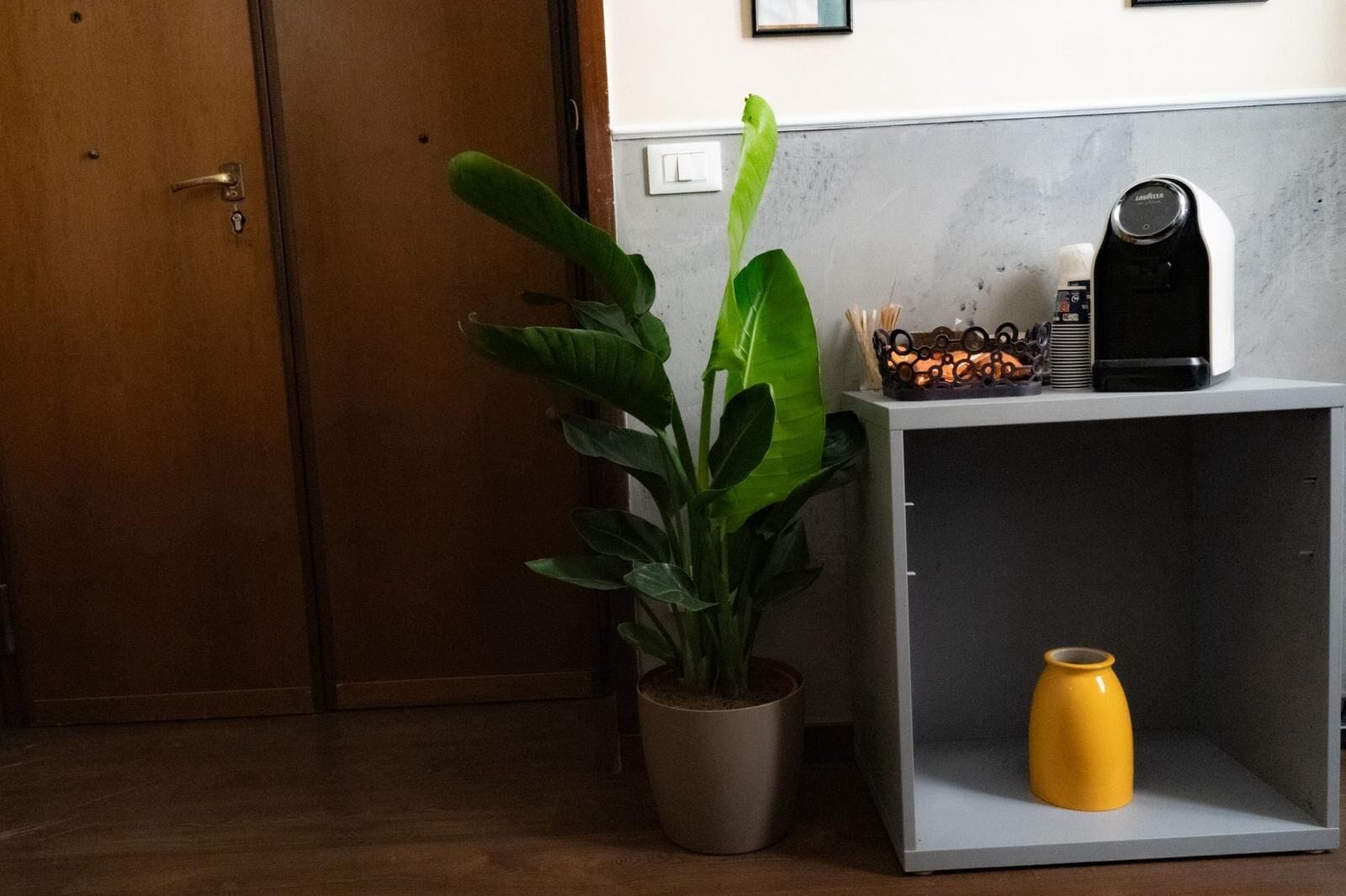 Ein Zimmer mit Holztür, einem Blumentopf, einem Regal mit Kaffeemaschine und einer gelben Vase.