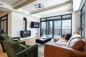 TV connectée, cheminée, chaîne hi-fi