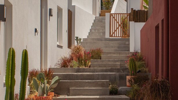 A narrow, concrete staircase with potted plants and a wooden gate at the top. - Vila Rodrigues (Lisbon)