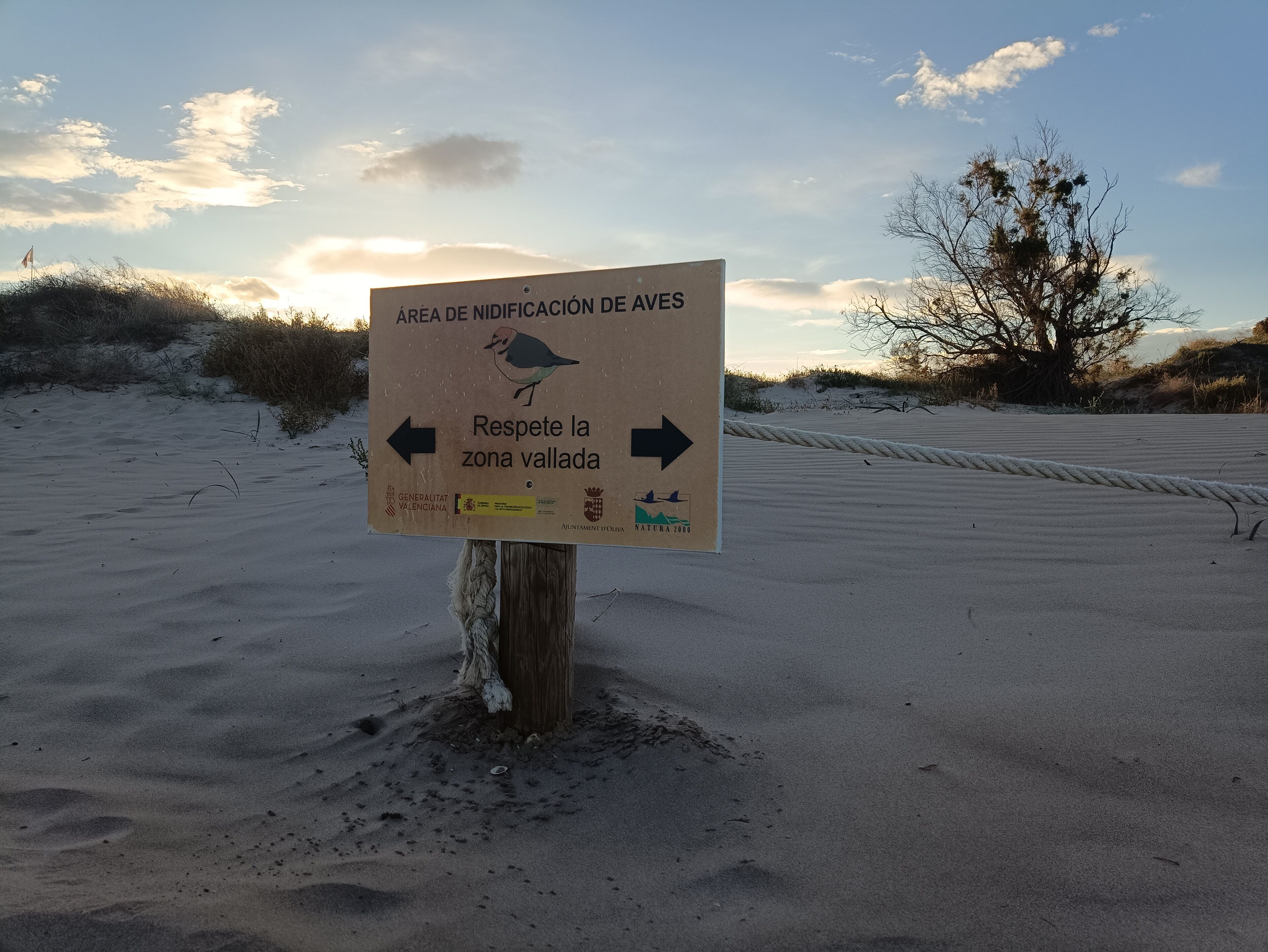 Un panneau, placé dans une zone sablonneuse, affiche des flèches pointant vers la gauche et vers la droite, indiquant les directions à suivre.