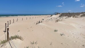A sandy beach with a wooden fence and sparse vegetation.
