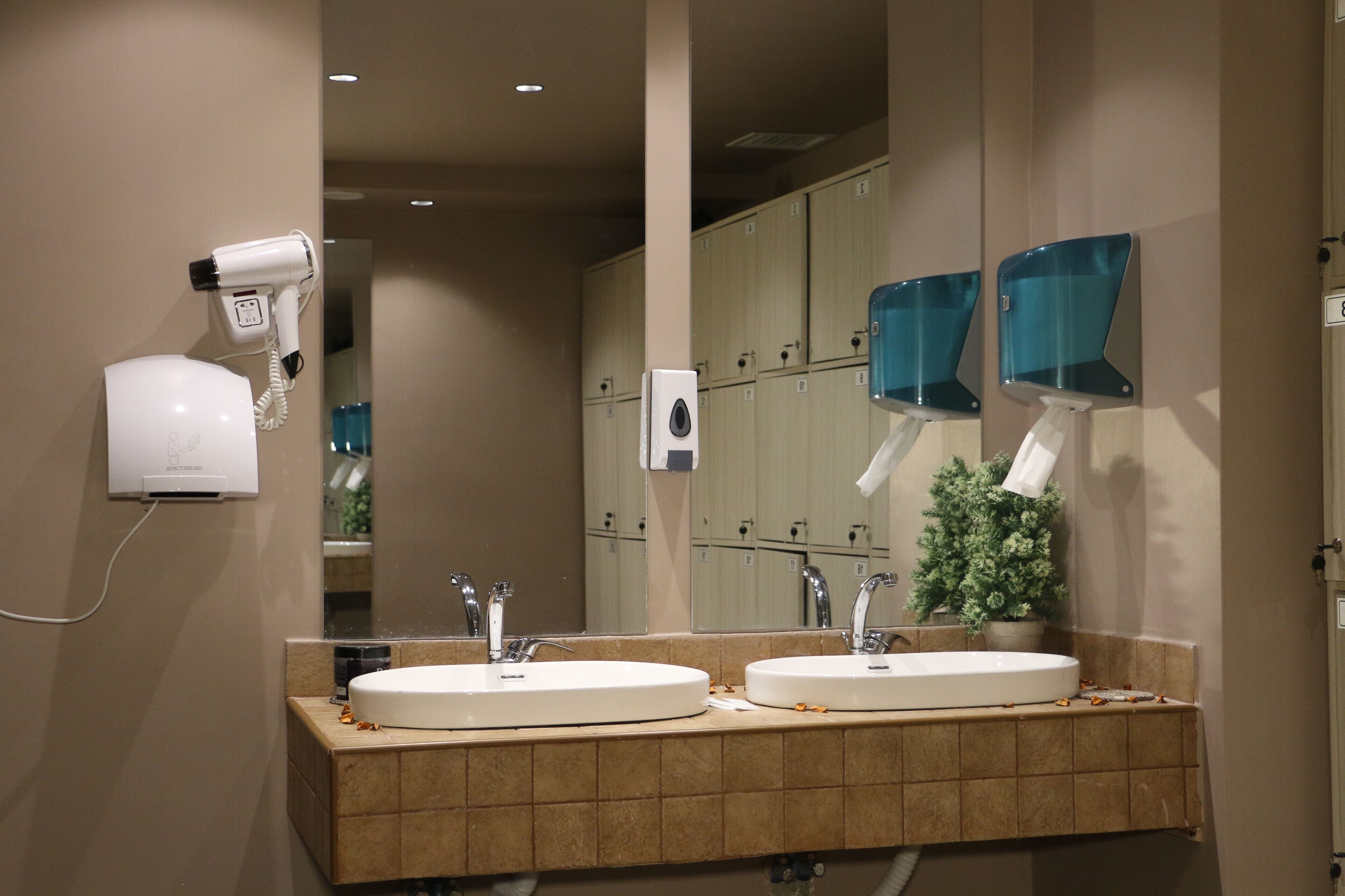 A bathroom with two sinks, a hair dryer, a mirror, and a potted plant.