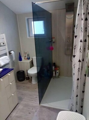 Haartrockner, Handtücher, Seife, Toilettenpapier