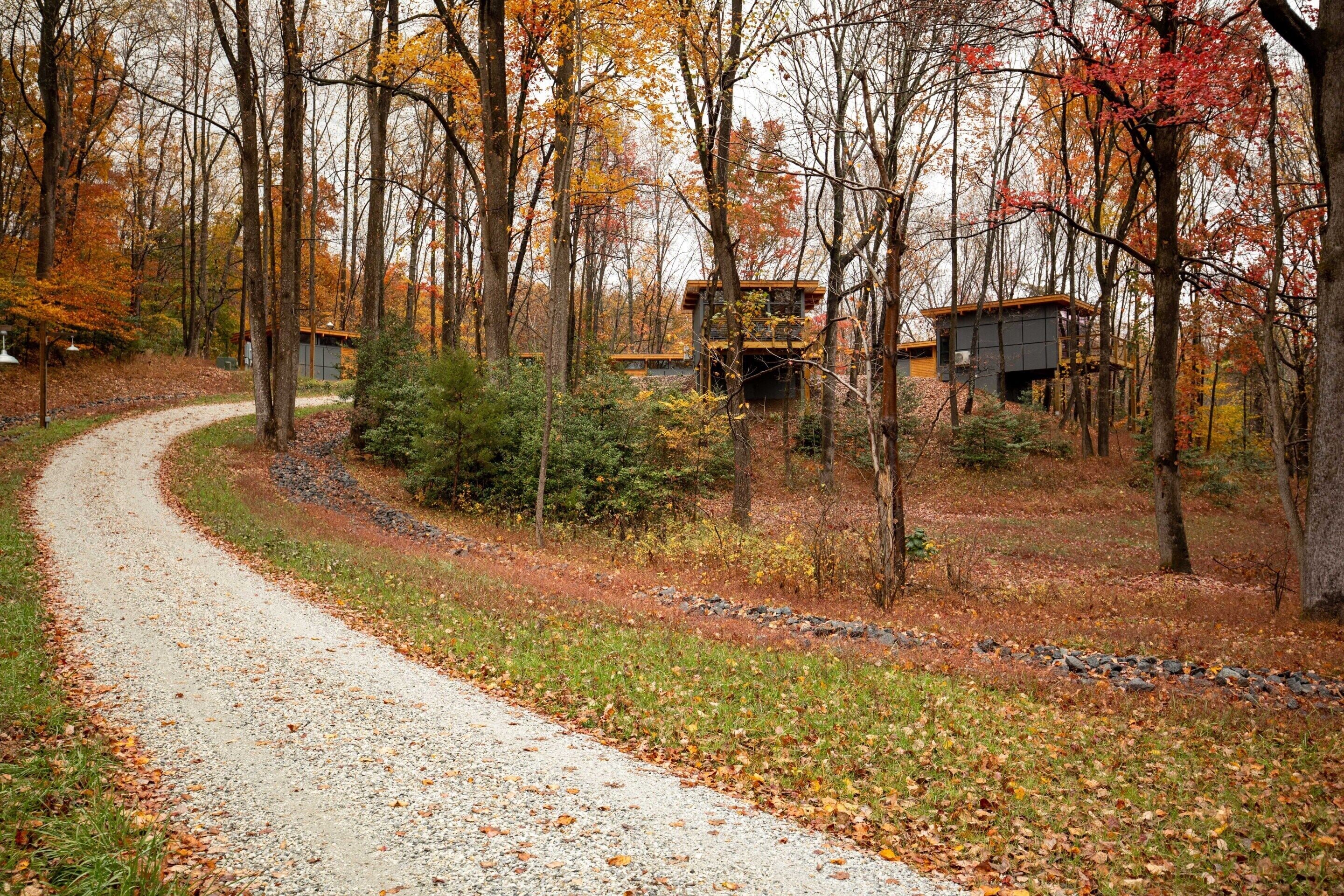 Un sentier de gravier serpente à travers une zone boisée, bordée d’arbres aux couleurs automnales, et mène à une sorte de cabane.
