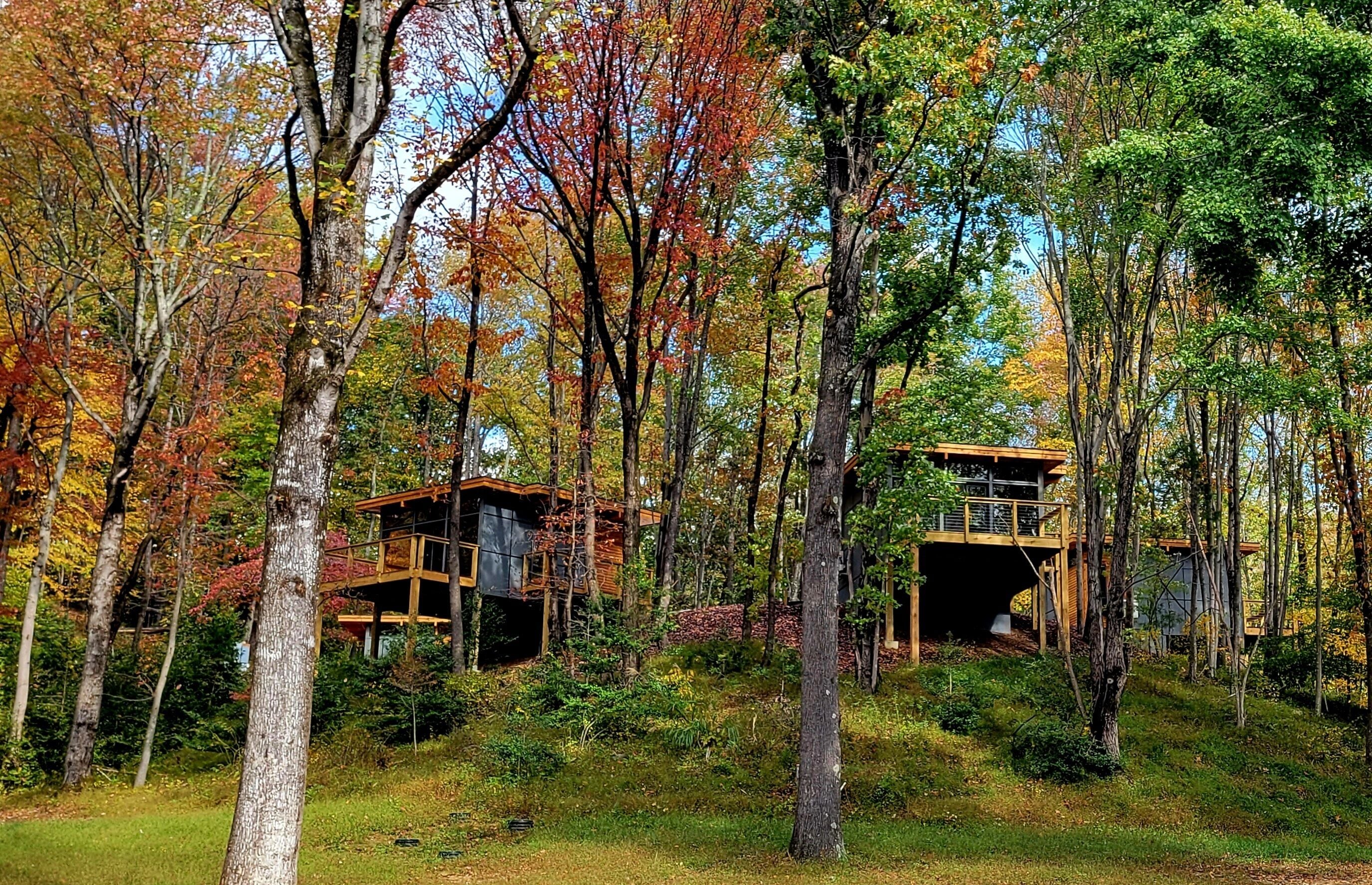A forest with two wooden cabins elevated on stilts.