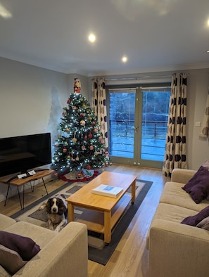 Smart TV - Castle Pond House (Pembroke)