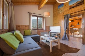 TV, fireplace, books - Cozy Mountain Getaway Chalet les Marmottes (Riddes)