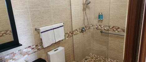 Un baño con ducha de vidrio, inodoro y lavamanos.