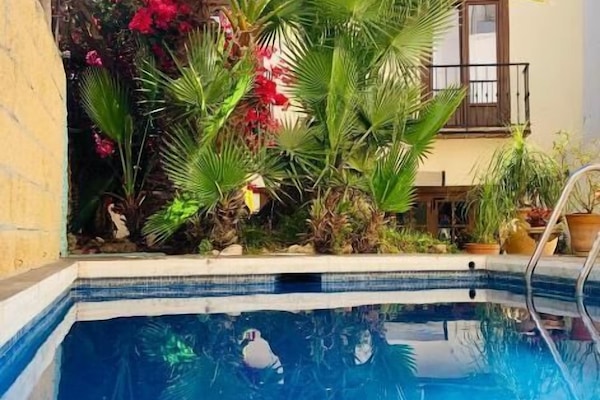 Outdoor pool, pool umbrellas, pool loungers