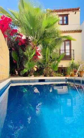 Outdoor pool, pool umbrellas, pool loungers - Boutique Hostal Lorca (Nerja)