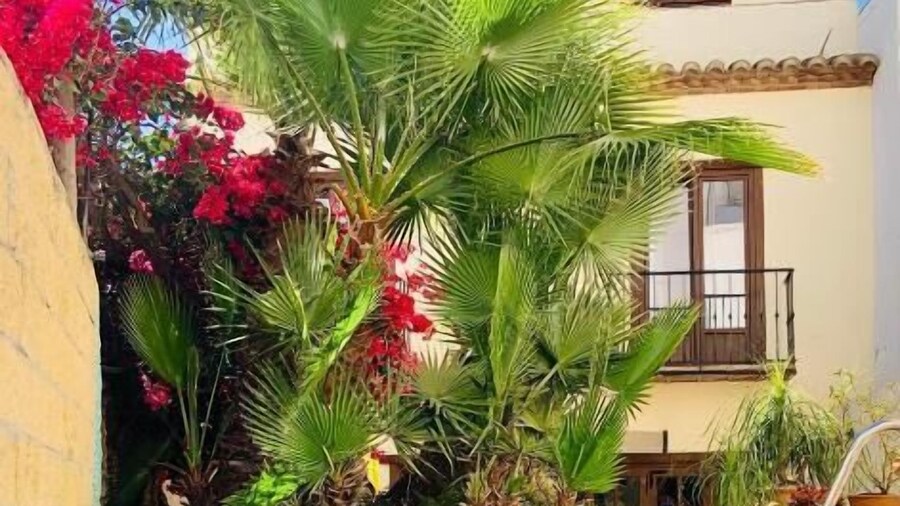 Boutique Hostal Lorca