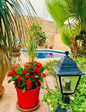 Property grounds - Boutique Hostal Lorca (Nerja)