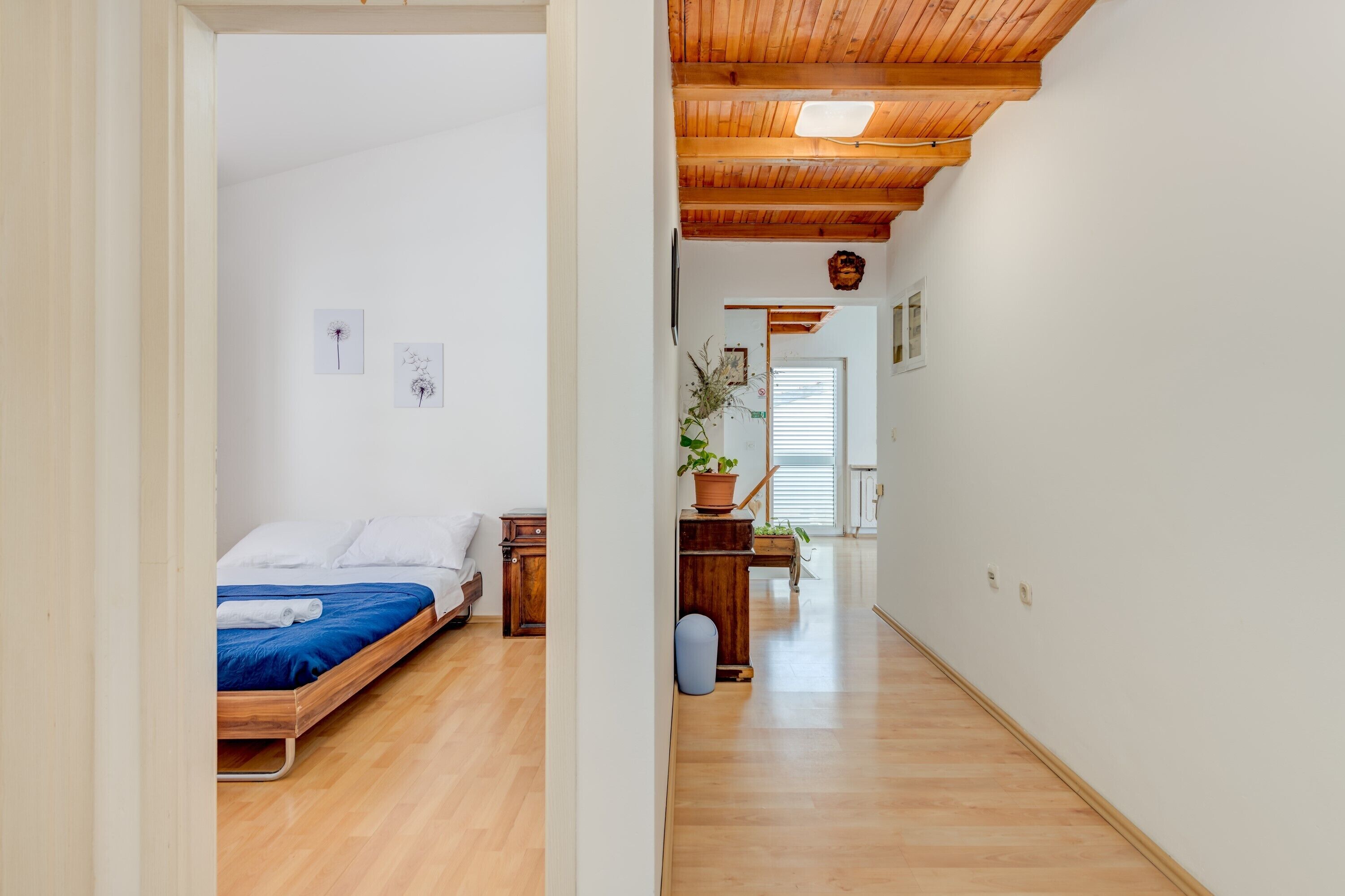 A narrow hallway with a wooden floor, a bed with blue bedding, and a desk with a plant.