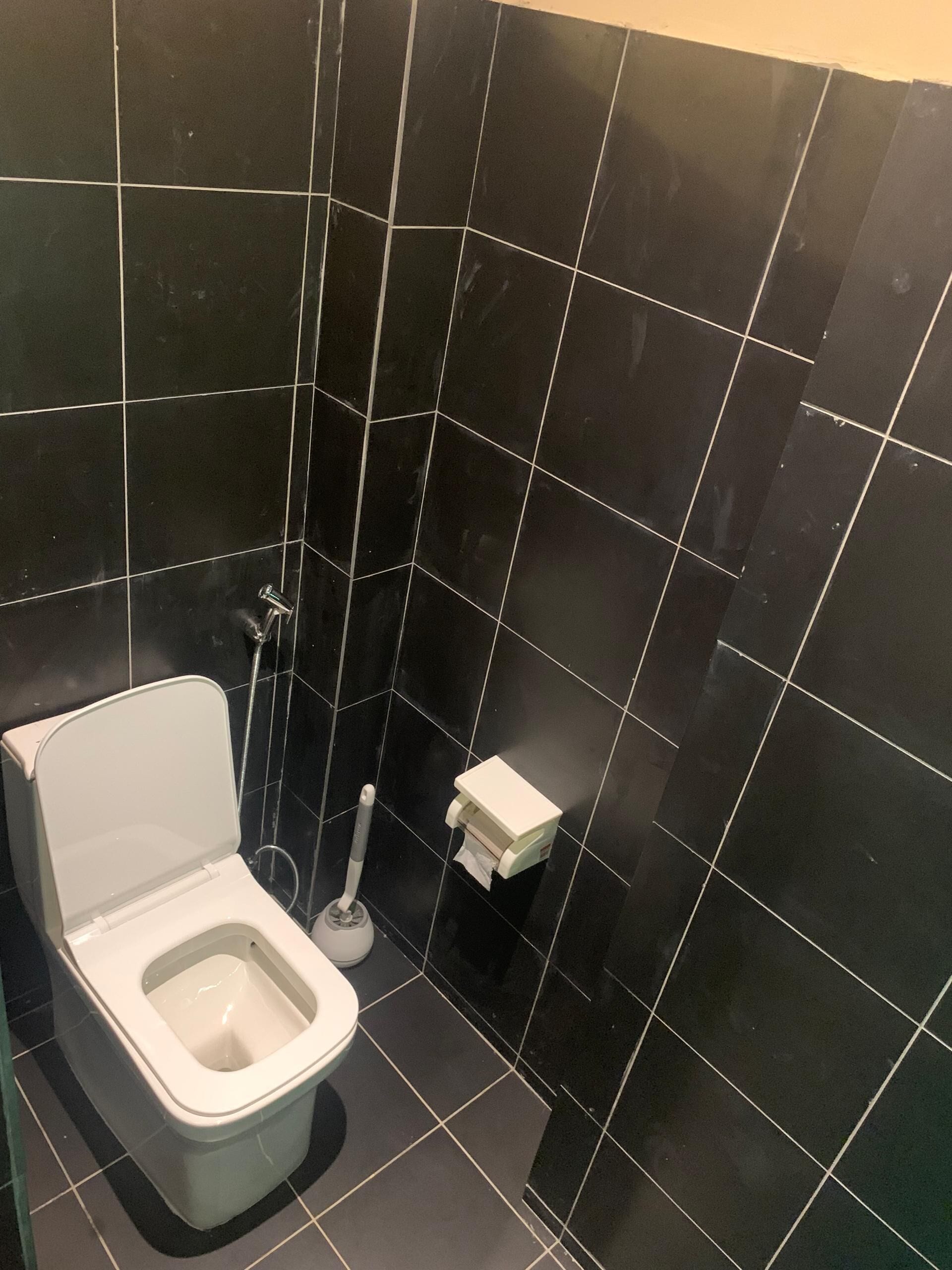 A small, modern bathroom with a white toilet, a handheld bidet, and a toilet paper holder on a black tiled wall.