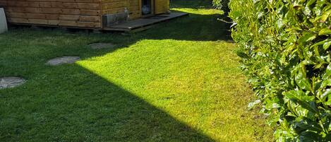 A wooden cabin with a porch, a small yard, and a hedge.