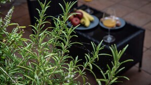 A table with a plate of fruit and a glass of orange juice, surrounded by green plants.