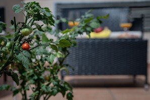 Una planta con tomates verdes y rojos en una maceta, un sofá de mimbre y un fondo desenfocado con un frutero.