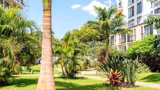 Un jardín bien cuidado con palmeras y diversas plantas, un sendero de piedra y un edificio con balcones.