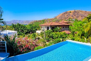 Pool - Modern villa with amazing views of ocean, infinity pool & beautiful garden (Flamingo Beach)