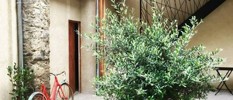 Detalle exterior