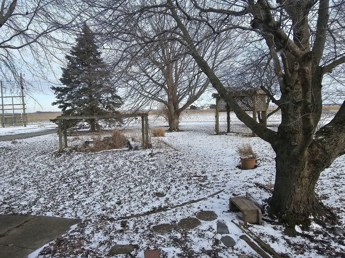 A snow-covered outdoor area with a wooden bench, a tree, and a metal fence.