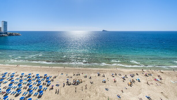 A beach with rows of blue umbrellas and people sunbathing. - Las Damas 12-E Levante Beach (Benidorm)