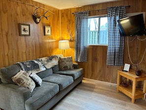 Une pièce avec un mur lambrissé en bois, un canapé gris orné de coussins à motifs, une lampe, un téléviseur posé sur un meuble en bois et des rideaux à carreaux.