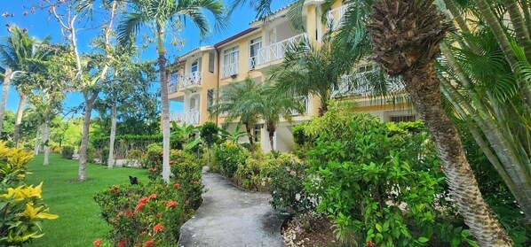 A hotel courtyard with a paved walkway, surrounded by lush greenery and palm trees. - Beachside Apartment with Rooftop Terrace & Private Jacuzzi – Sleeps 6 (Dominicus)