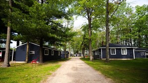A row of cabins with a gravel path leading through them, surrounded by trees. - Cottage #3 Snow Day, 2 Bedroom Cottage (Lake City)